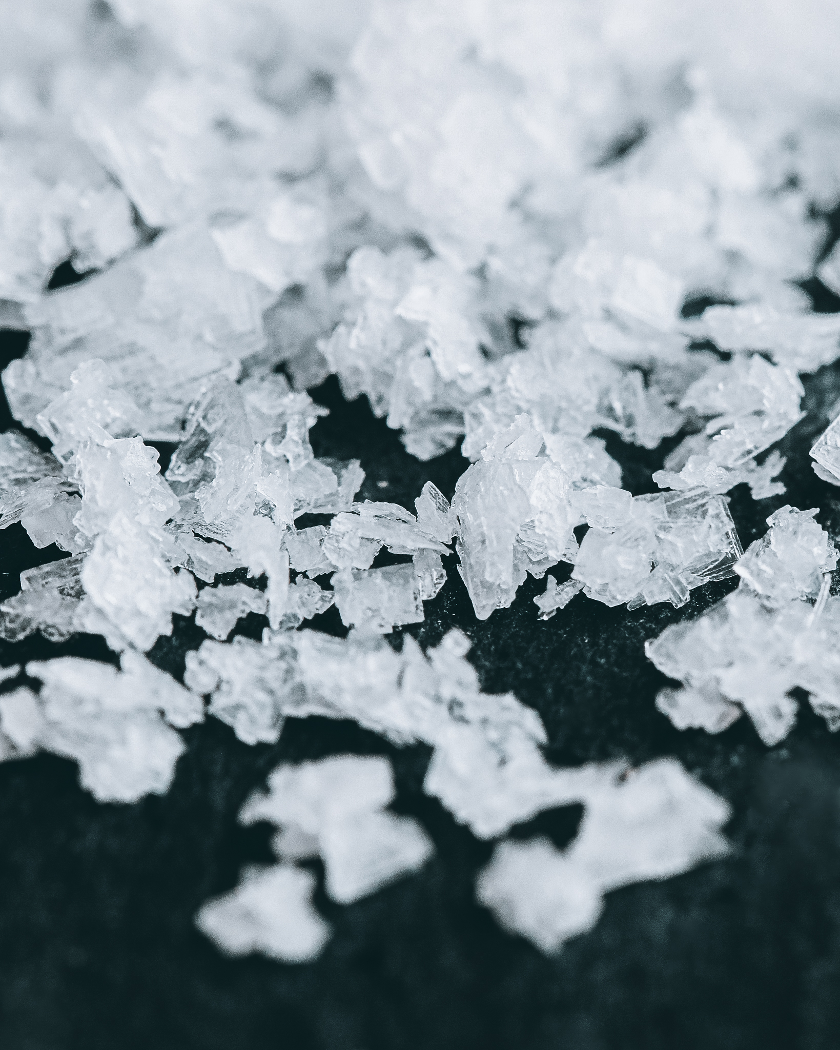 sale quale scegliere